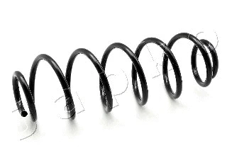 Suspension Spring (ZCJ6620H)