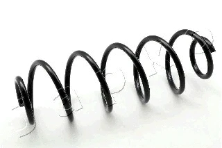 Suspension Spring (ZCJ6063H)