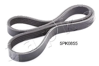 V-Ribbed Belt (5PK855)