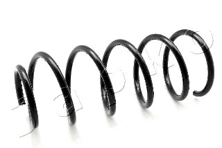Suspension Spring (ZCJ2137C)