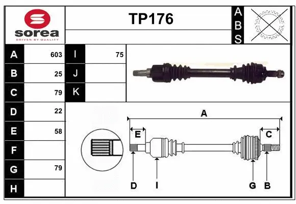 Drive Shaft (TP176)