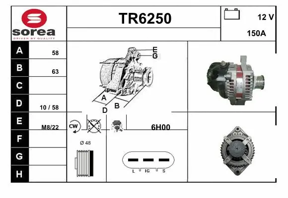 Alternator (TR6250)