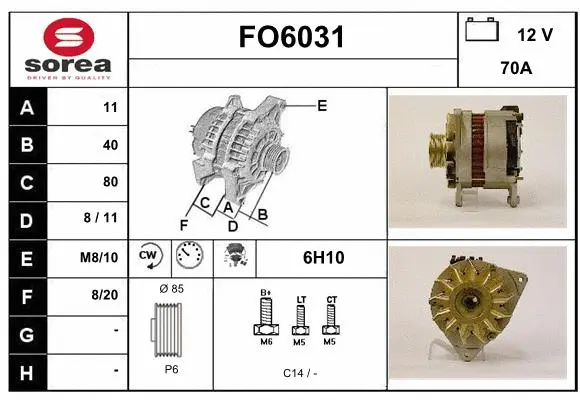 Alternator (FO6031)
