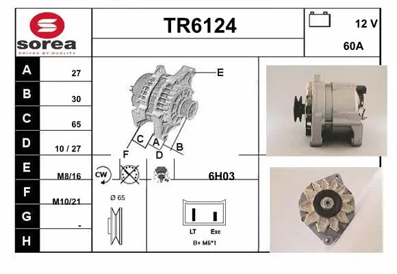 Alternator (TR6124)