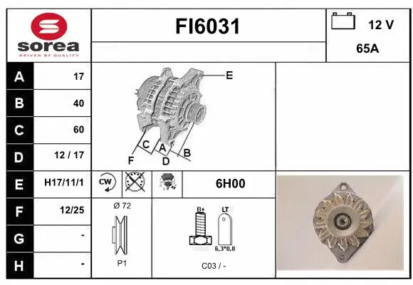 Alternator (FI6031)