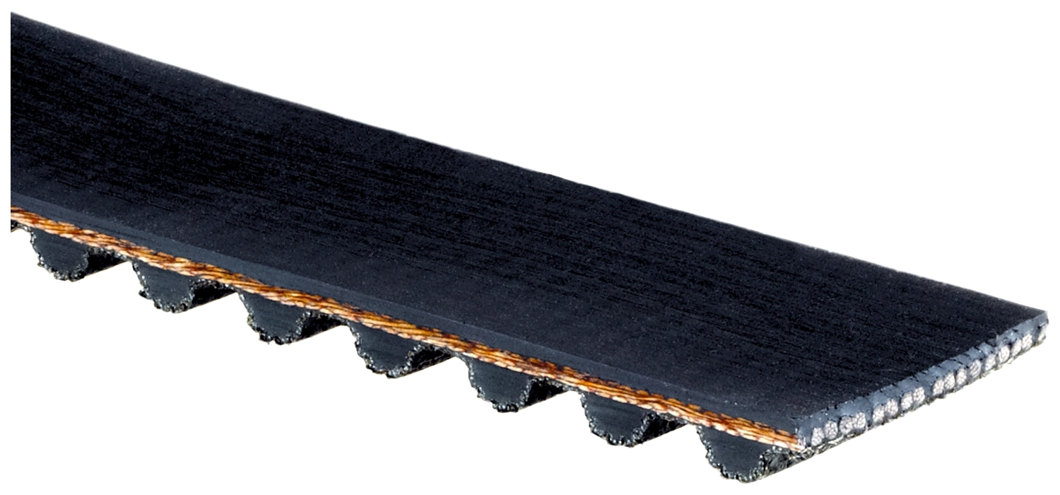 Timing Belt