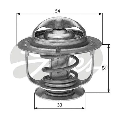 Thermostat, coolant (TH30888G1)