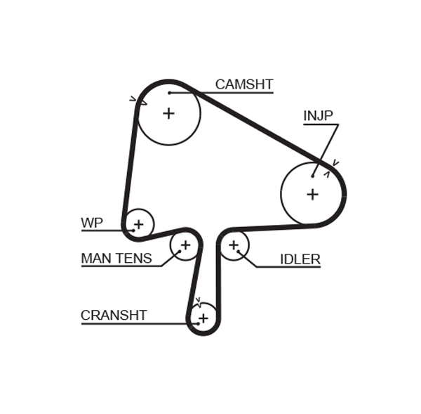 Timing Belt
