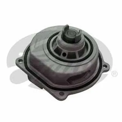 Water Pump, engine cooling (GWP8198)