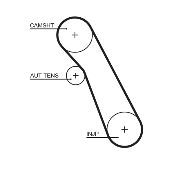 Timing Belt