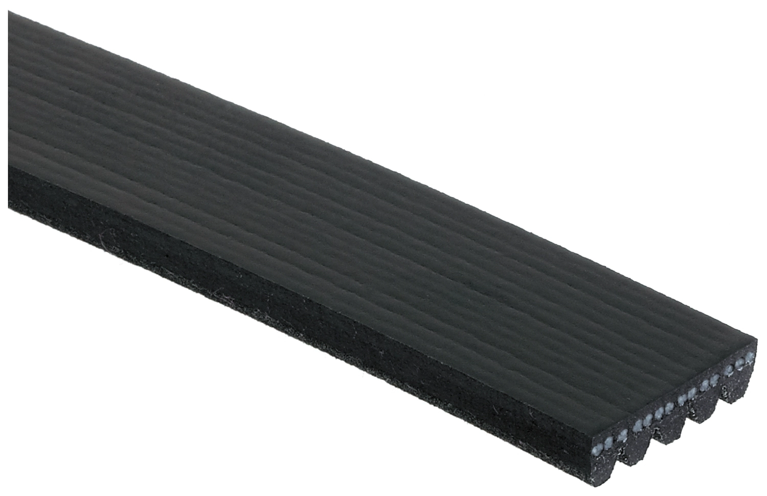 V-Ribbed Belt