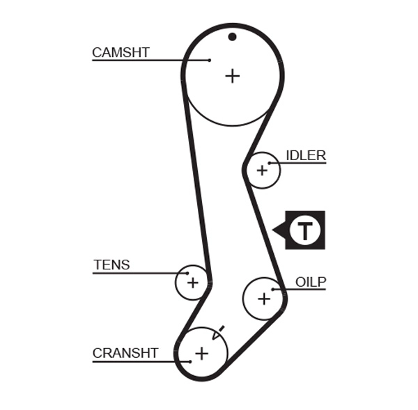 Timing Belt