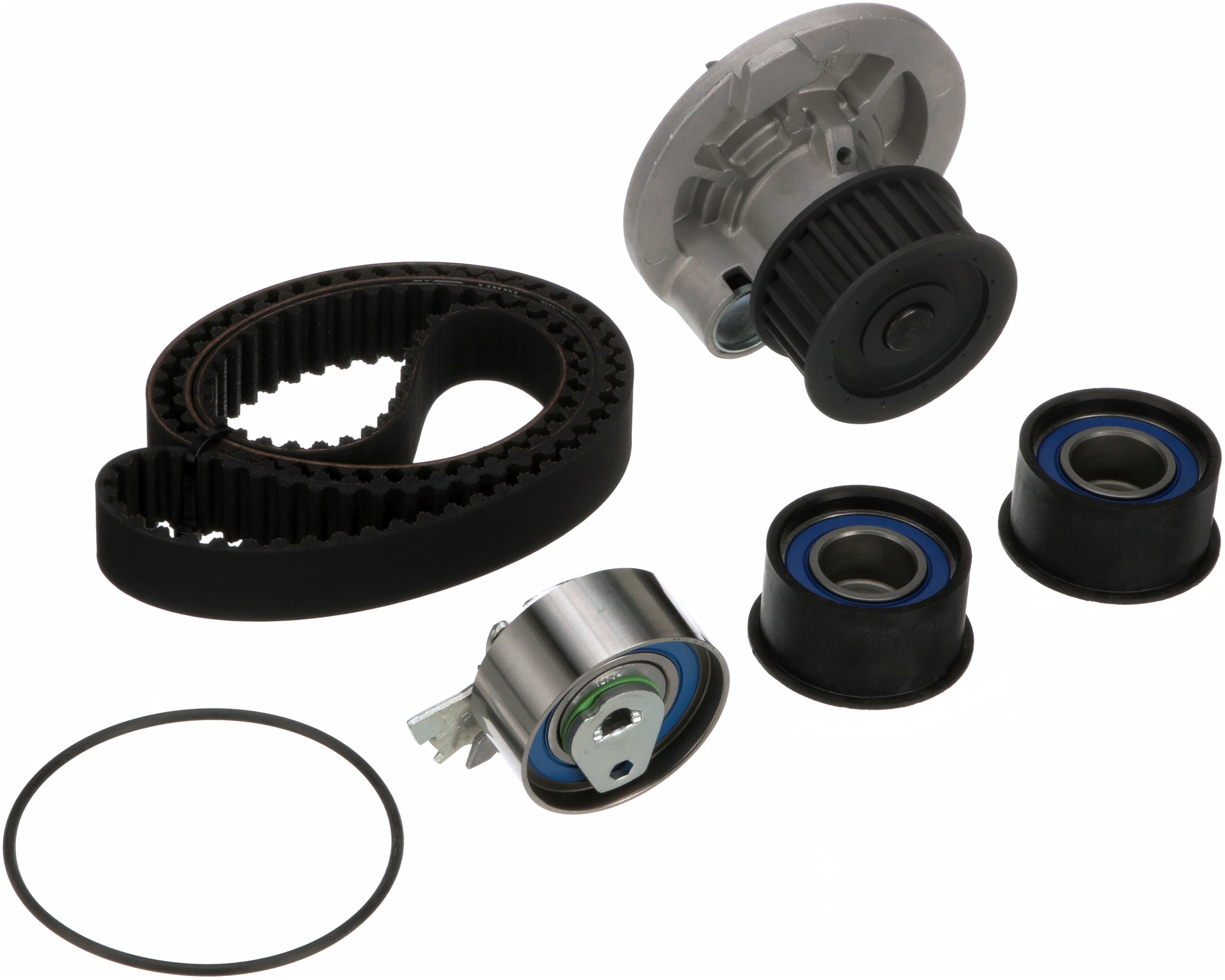 Water Pump & Timing Belt Kit (TCKWP309)