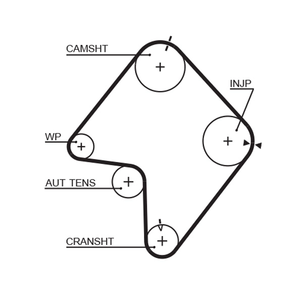Timing Belt