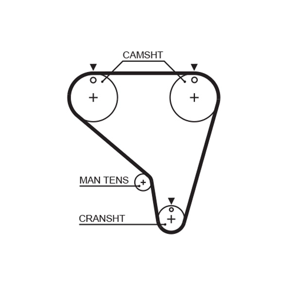 Timing Belt
