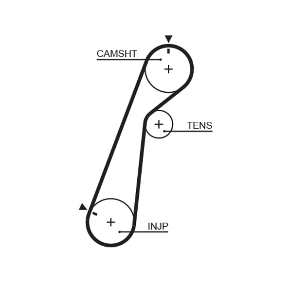 Timing Belt