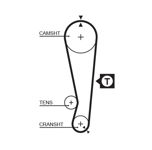 Timing Belt (T175)