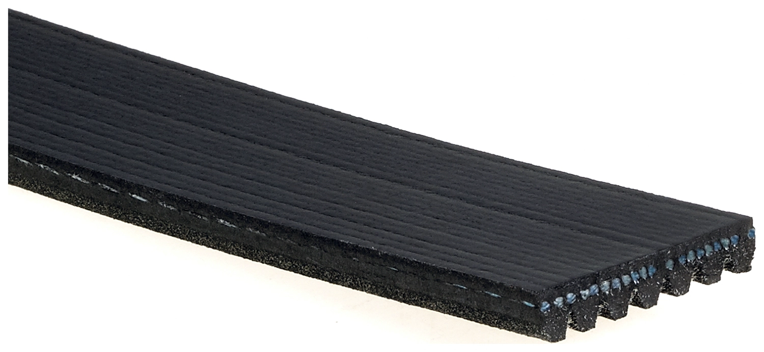 V-Ribbed Belt