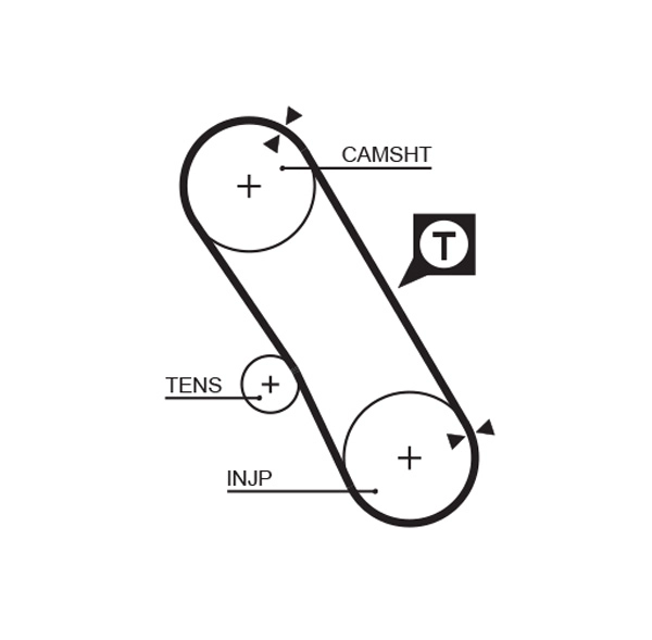 Timing Belt