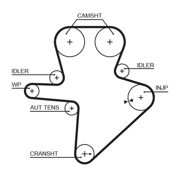 Timing Belt