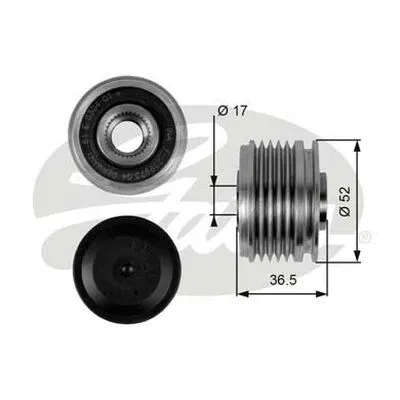 Alternator Freewheel Clutch (OAP7064)