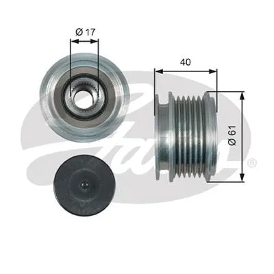 Alternator Freewheel Clutch (OAP7013)