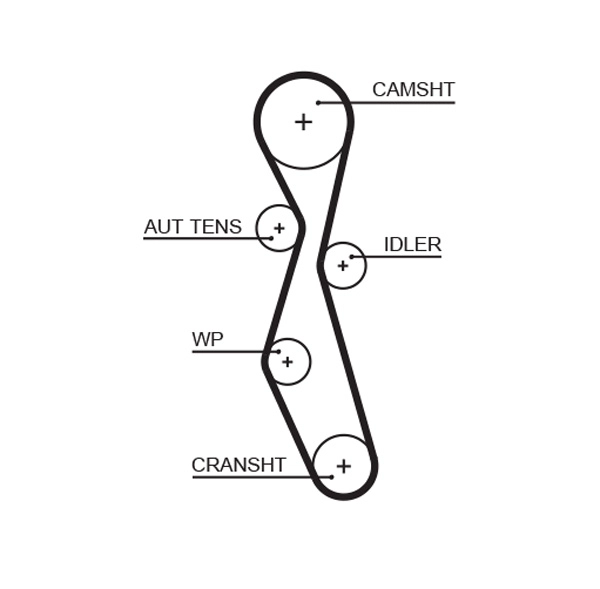 Timing Belt