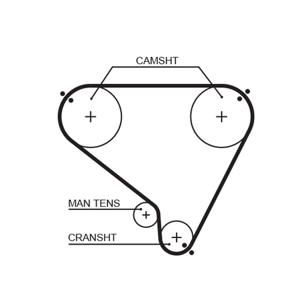 Timing Belt