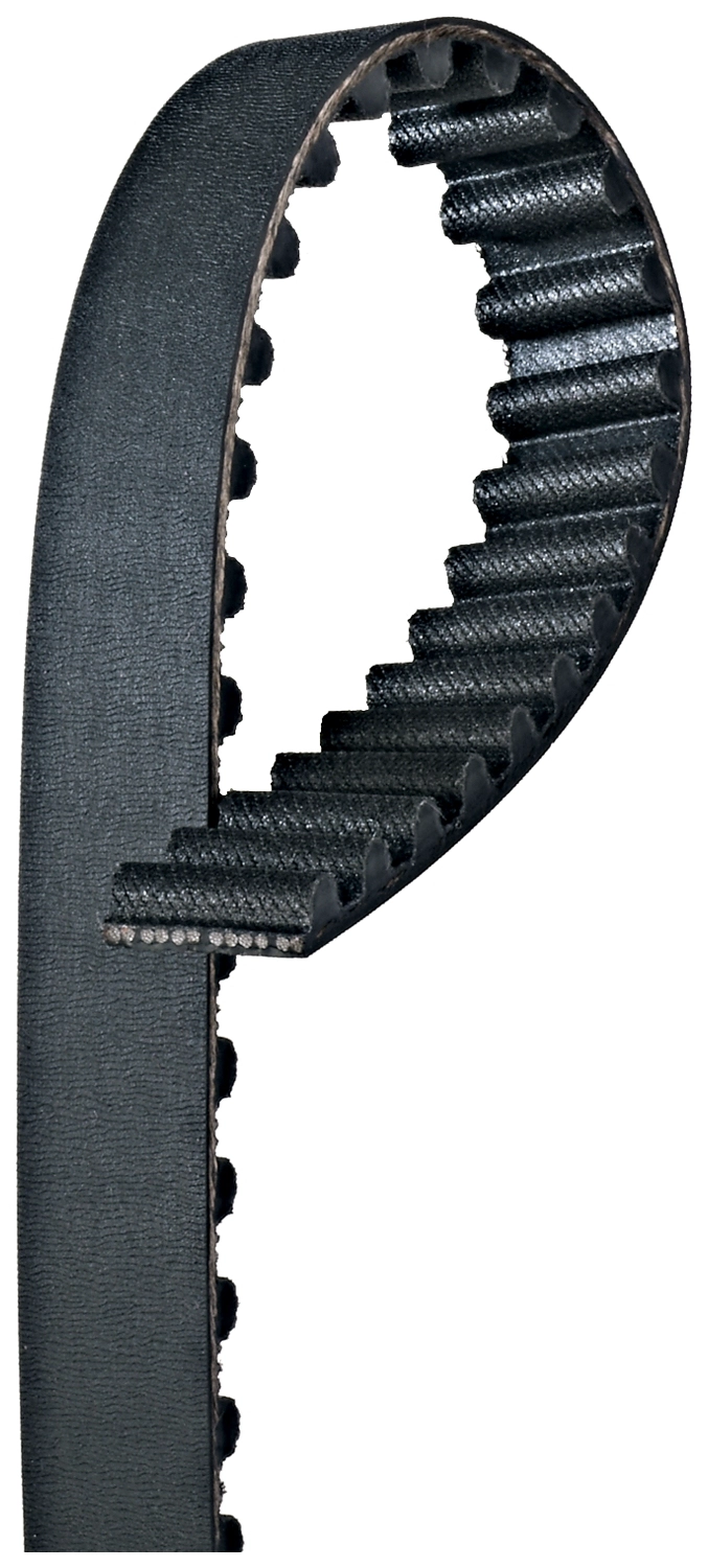 Timing Belt