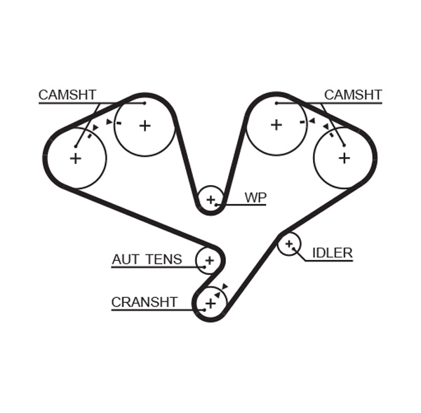 Timing Belt