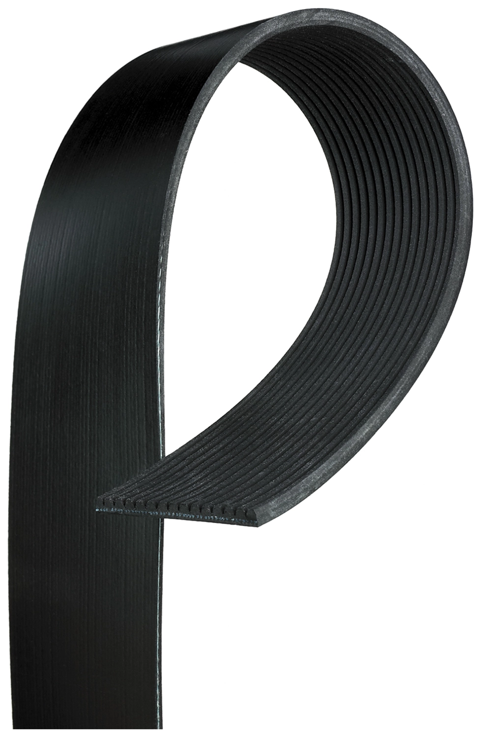 V-Ribbed Belt (15PK955HD)