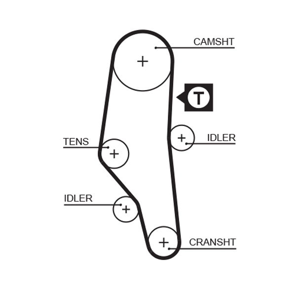 Timing Belt