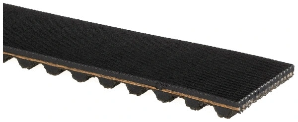 Timing Belt