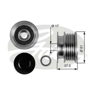 Alternator Freewheel Clutch (OAP7108)