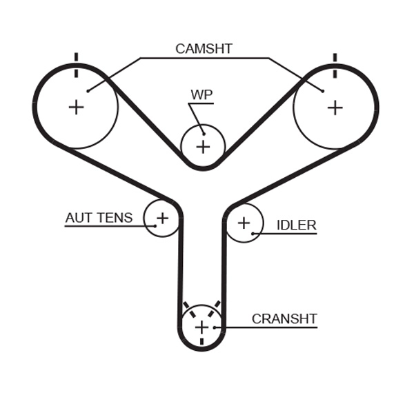Timing Belt