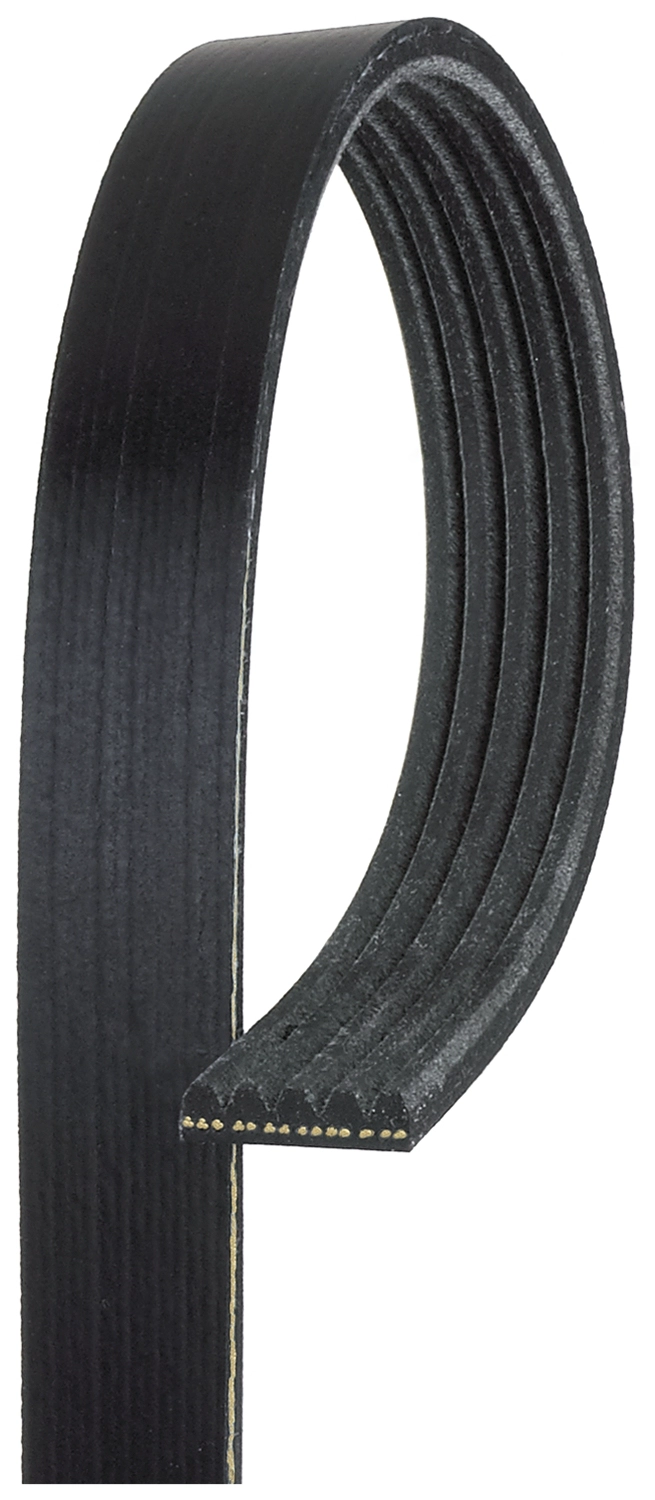 V-Ribbed Belt (5PK874RPM)