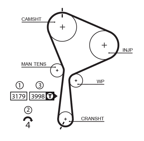 Timing Belt