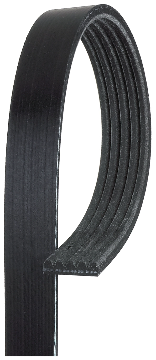 V-Ribbed Belt (5PK1435)