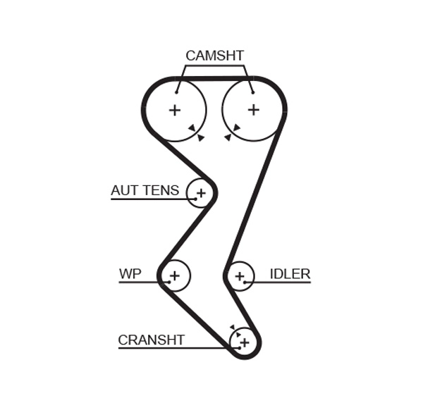 Timing Belt