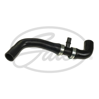Radiator Hose (05-3497)