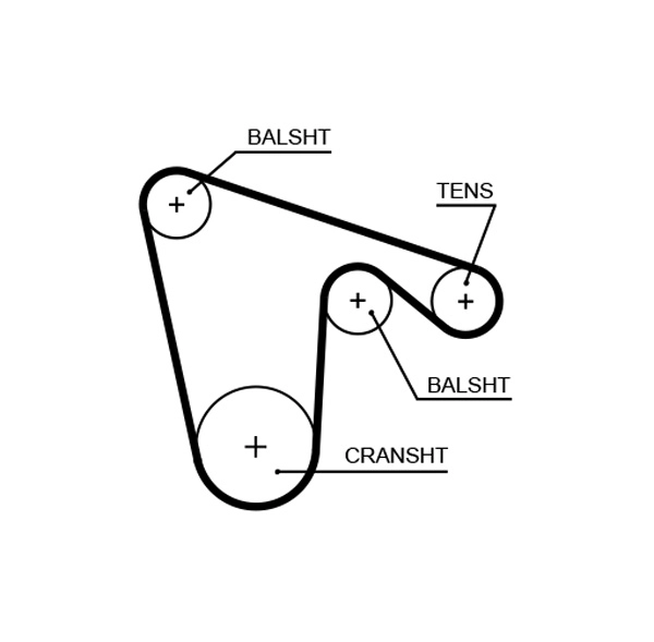 Timing Belt