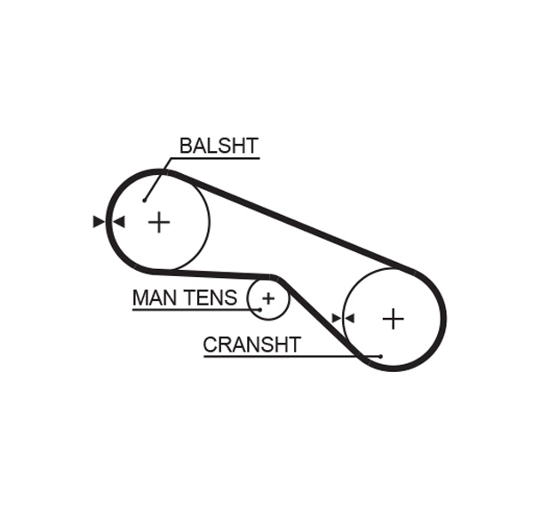 Timing Belt