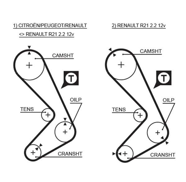 Timing Belt