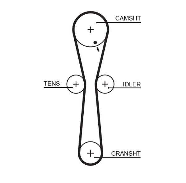 Timing Belt
