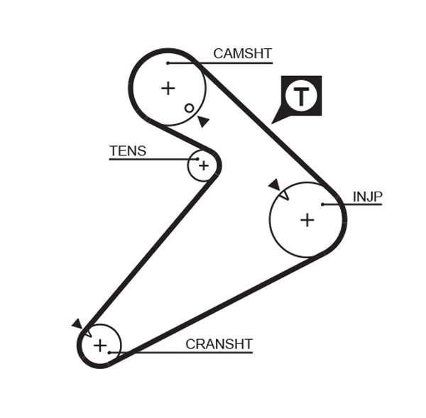 Timing Belt