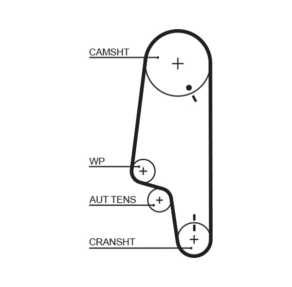 Timing Belt