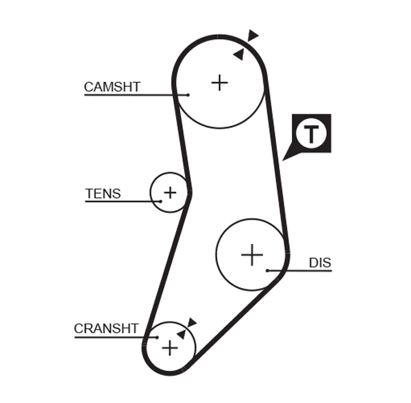 Timing Belt