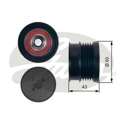 Alternator Freewheel Clutch (OAP7134)