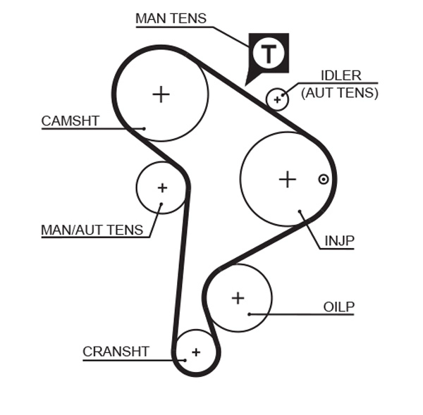 Timing Belt