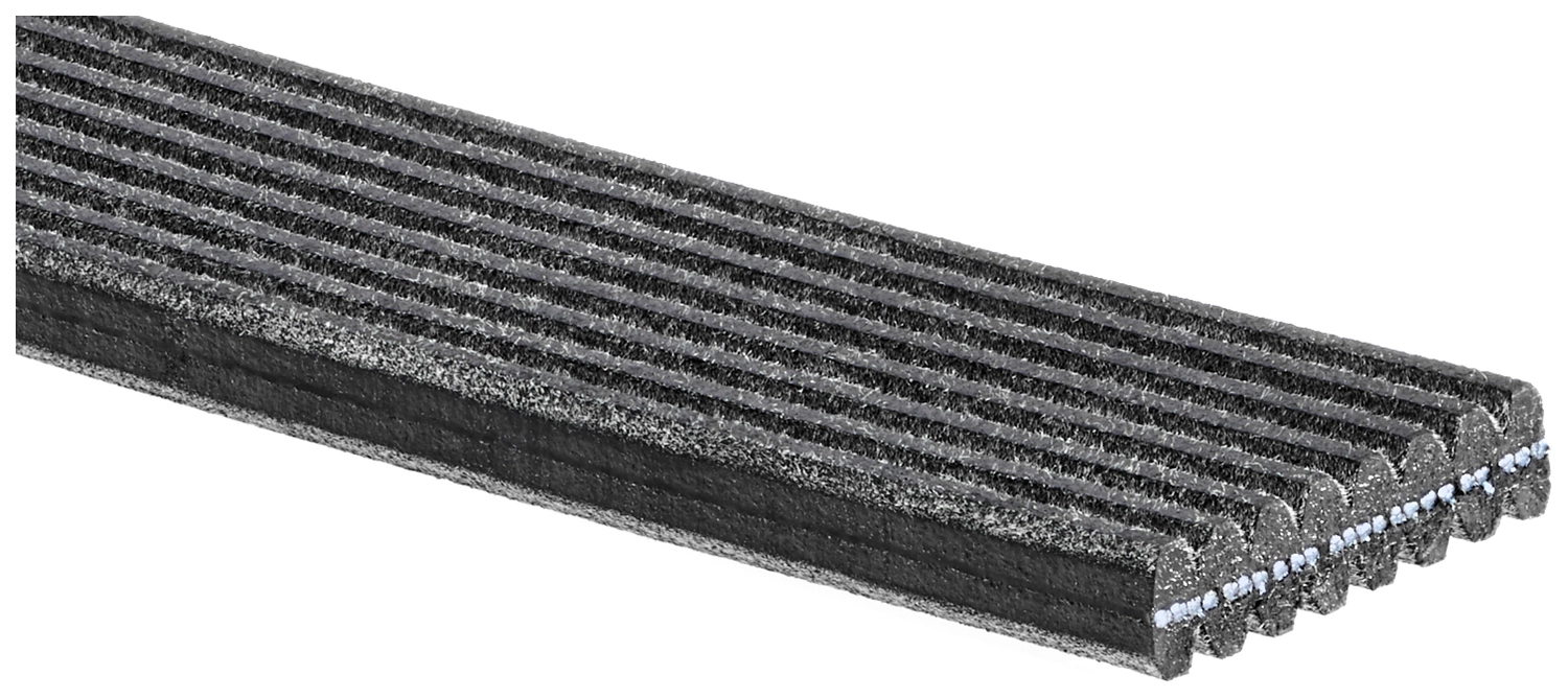 V-Ribbed Belt
